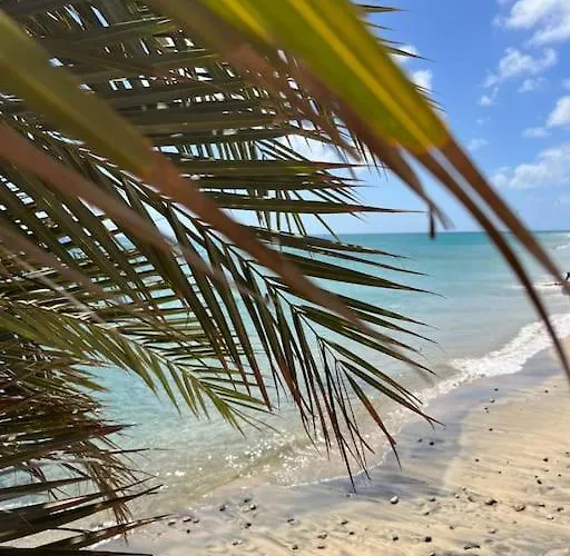 Apartamento Pavla Апартаменты *