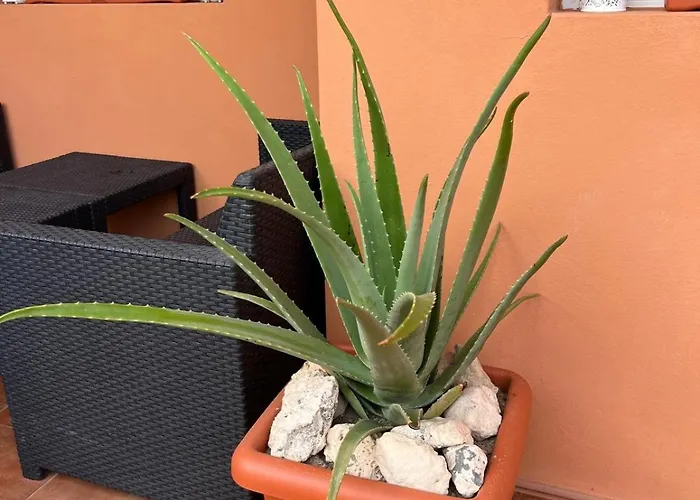 Апартаменты Apartamento Pavla Коста Калма