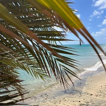 Apartamento Pavla Lägenhet *