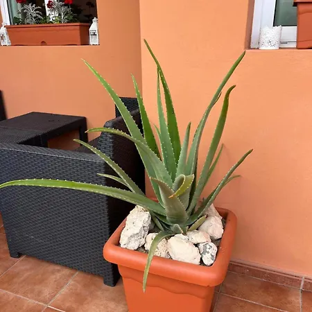 Lägenhet Apartamento Pavla Costa Calma